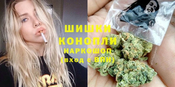 МДПВ Елизово