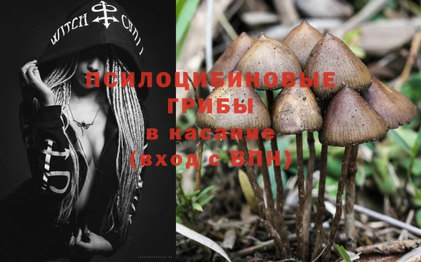 каннабис Елабуга