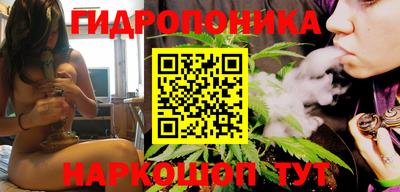 шишки Свободный