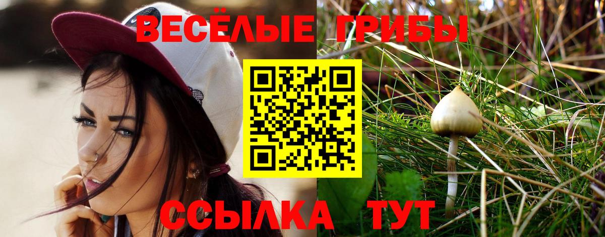 Псилоцибиновые грибы Magic Shrooms Искитим